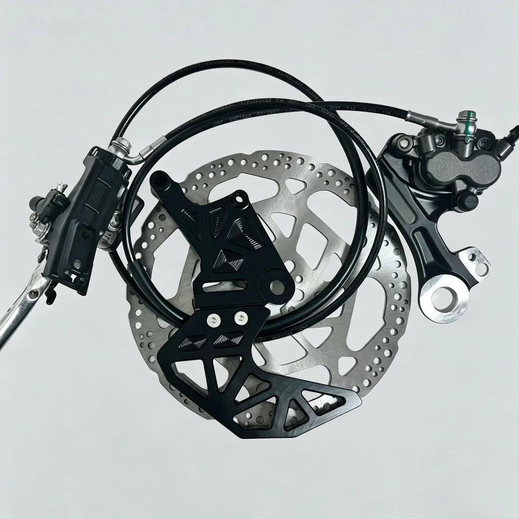 Rear ultra bee brake kit for lbx