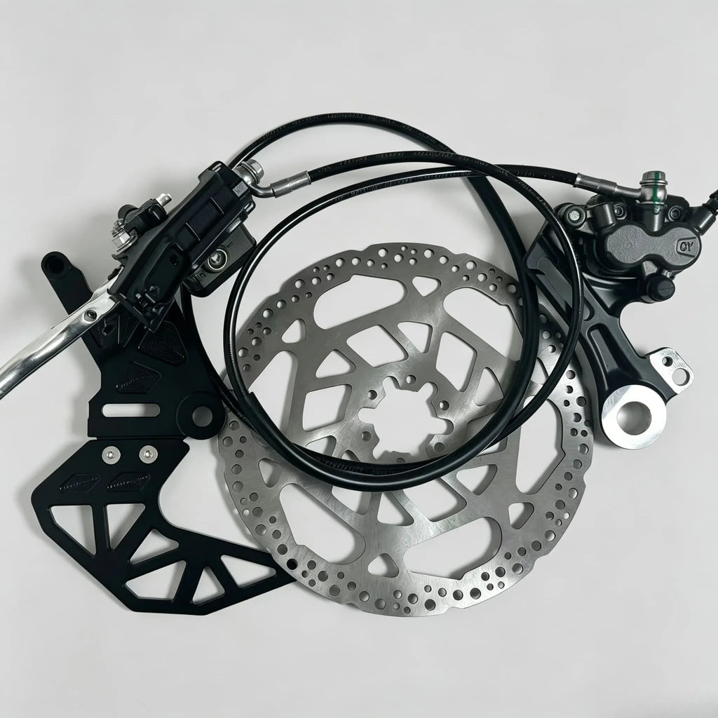 Rear ultra bee brake kit for lbx