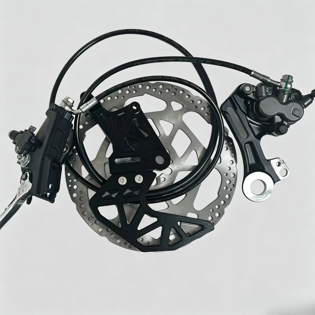 Rear ultra bee brake kit for lbx