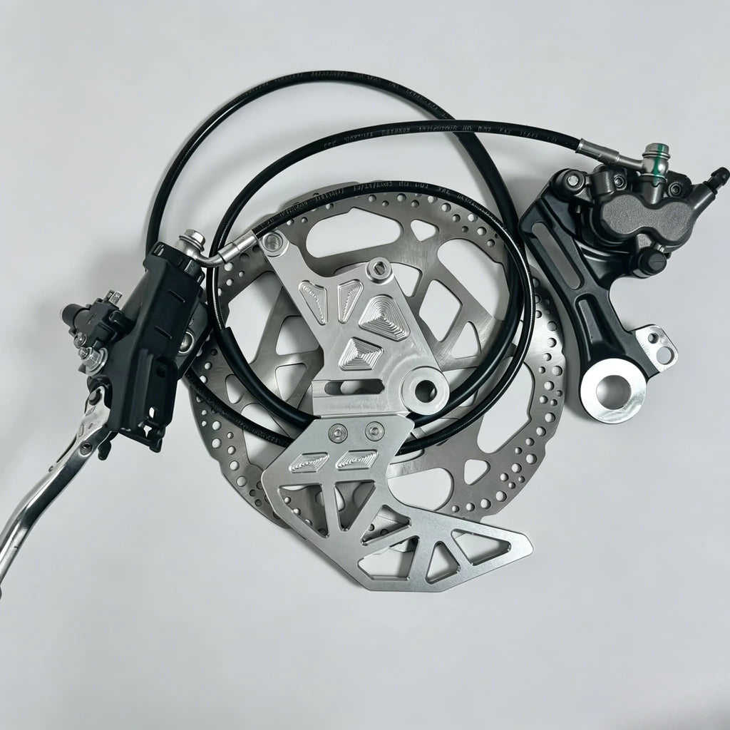 Rear ultra bee brake kit for lbx